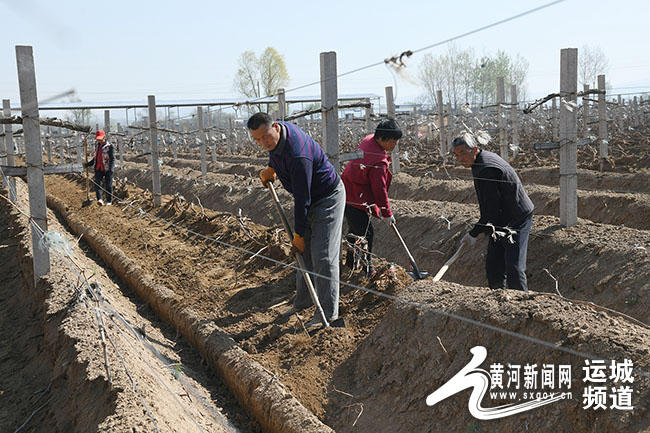 河底村委会最新动态报道