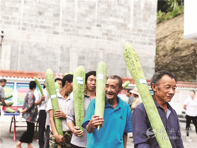 桐楼乡最新资讯速递