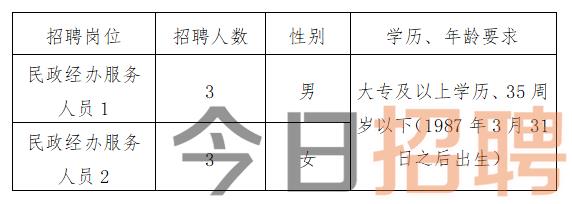 轮台县人民政府办公室最新招聘公告解读