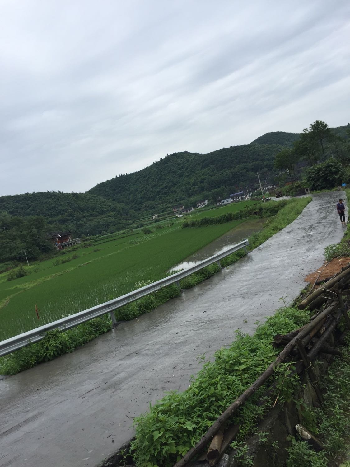 麻步镇天气预报更新通知