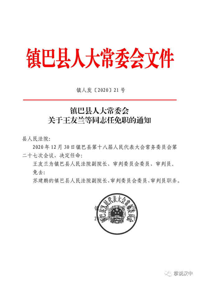 新华社区居委会人事大调整，塑造未来领导团队