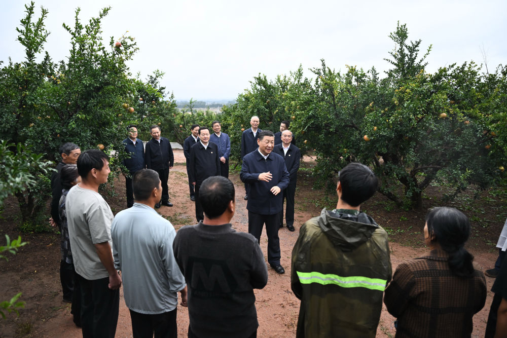 潘峪村民委员会，现代化交通步伐坚定，最新交通新闻一览